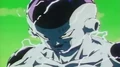 Dbz075-(011147)17-54-40-