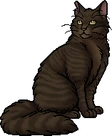 Duskfur.warrior