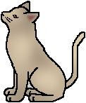 20120210215654%21Dawnpelt.warrior.png