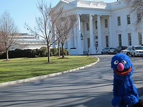 Grover whitehouse