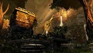Jungle (4)