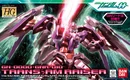 Hg00-00-raiser-trans-am