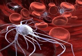 Spider virus red blood cell