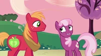 Cheerilee Big McIntosh awkward 2 S2E17