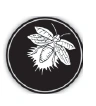Fire (Scion).png (8 KB) Fire (Scion)