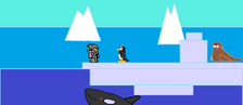 The Antarctic biom.