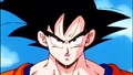 GokuS14