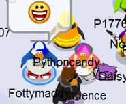 CADENCE