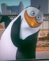 Cute-Rico-penguins-of-madagascar-11603960-1024-1280
