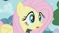 Fluttershy uhh S1E7