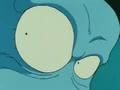 Pilaf eyes