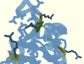 Arginine.png