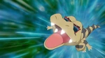 Ash Krokorok Crunch