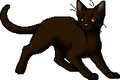 Shrewpaw (TC).apprentice