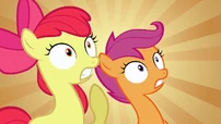 Scootaloo & Apple Bloom WHAT! S2E17