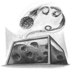 Sala de Cerebros