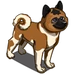 American Akita-icon