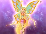 Finish Stella.jpg