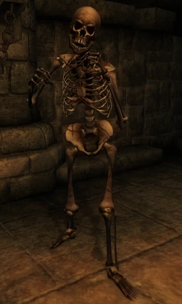 Beast oblivion skeleton