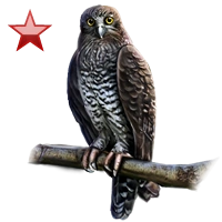 Huge item powerfulowl ruby 01.png