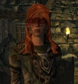 Wooodbine2.jpg