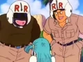 RRBPilotes1