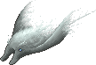 FogRayAdult.png