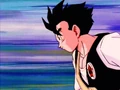 0gohan n