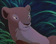 Nala close up