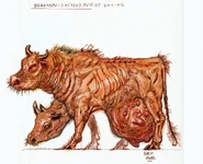 BrahminCA1