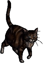 Brook.km.png