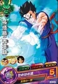 Gohan Heroes 17