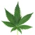 Marijuana-leaf sized
