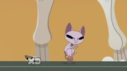 Gallery-Kat-14 (20)