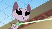 Gallery-Kat-14 (50)