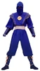Mmpr-blueninja