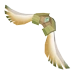 Paper Boomerang