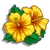 Yellow Hibiscus-icon