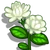 Double Pikake-icon