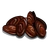 Mussel-icon