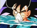 Dbz060 20120224-14132720