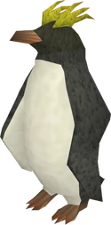 Noodle