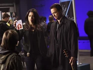 Csi-ny186