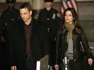 Csi-ny190
