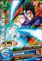 Gohan Heroes 22