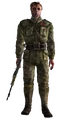 Chinese remnant.png