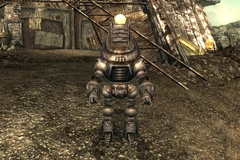 Deputy Weld