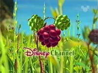DisneyGrapevines1999