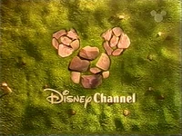 DisneyLawn1999