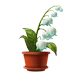 Item poisonblossoms 01